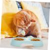Homoyoyo Double Bowl for Pets view 4
