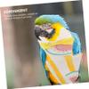 NUOBESTY Small Parakeet Diaper Bird Outfit view 3