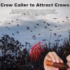 Dreuhuing Crow Lock Whistle - Portable Training Tool for Pets view 3