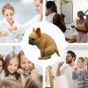 Reusable Dog-Shaped Toothpaste Dispenser view 4