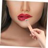4-Piece Silicone Lip Brush Set with Protective Case, Round Head view 4