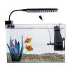 MISUVRSE Realistic Silicone Seaweed view 2