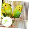 VICASKY Parrot Fruit Fork - Stainless Steel & Plastic view 4