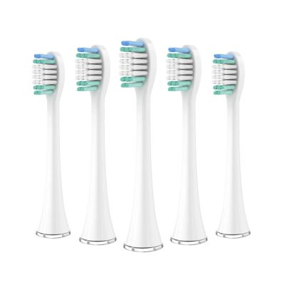 Replacement Brush Heads Compatible with Aquasonic Black Series Pro Vibe Duo, 10-Pack, White Nylon Bristles