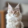 Costume Glasses with Chain for Cats and Dogs view 2