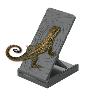 ETUCYNG Reptile Climbing Ramp | Foldable Ramp for Lizards, Snakes, Frogs, Newts, Turtles & Chameleons