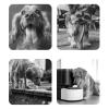 Fyrdyn Portable Dog Water Bottle view 4