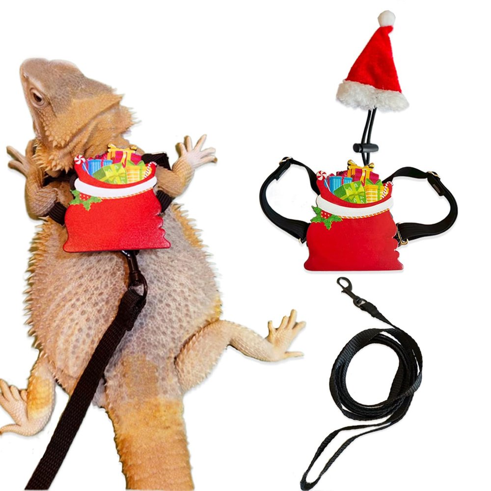 Ailan Gecko Reptile Christmas Outfit Set