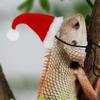 Ailan Gecko Reptile Christmas Outfit Set view 2