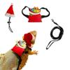 Ailan Gecko Reptile Christmas Outfit Set view 4