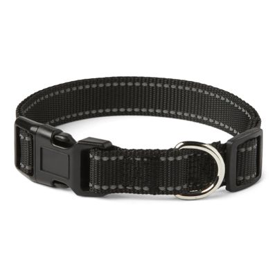 Amazon Basics Polyester Dog Collar M