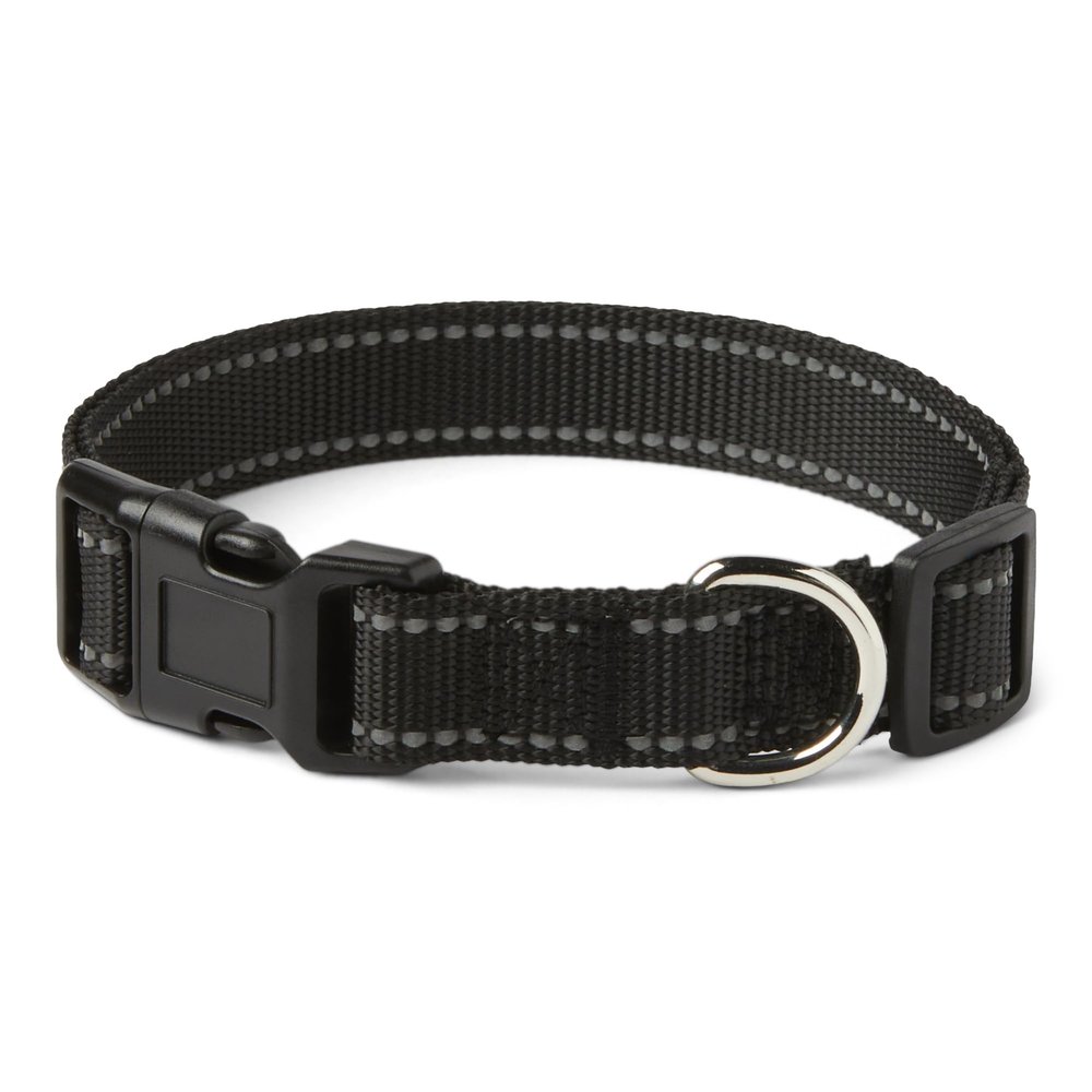 Amazon Basics Polyester Dog Collar M
