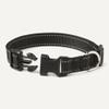 Amazon Basics Polyester Dog Collar M view 3