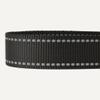 Amazon Basics Polyester Dog Collar M view 4