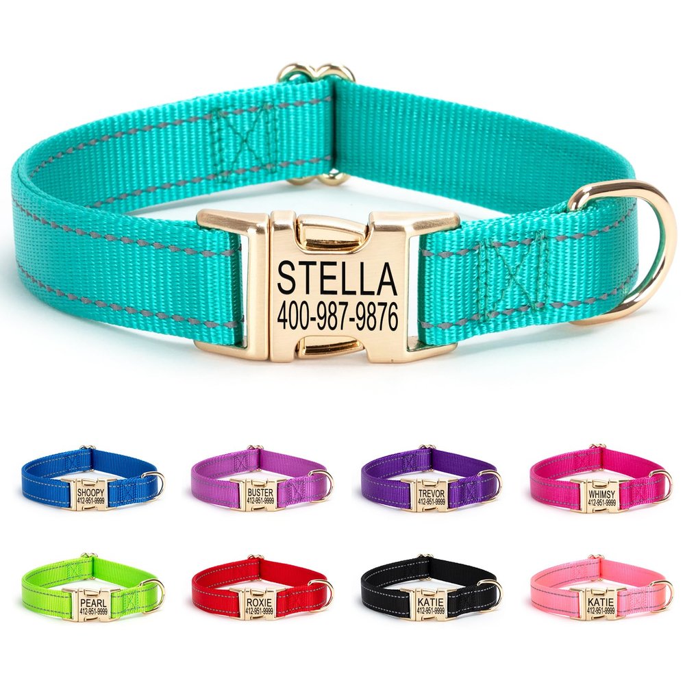 Personalized Reflective Dog Collar