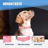 Personalized Reflective Dog Collar view 3