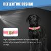 Personalized Reflective Dog Collar view 4