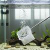 Nogeqi 2-Pack Small Aquarium Net view 2
