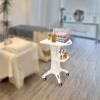 Multifunctional ABS Beauty Salon Trolley with Storage view 2
