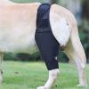 Breathable Dog Leg Brace Wrap and Anti-Licking Legging view 3