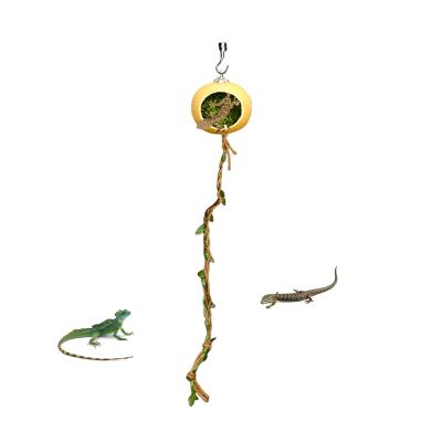 Magnetic Spider Hide with Climbing Rope, 40 cm
