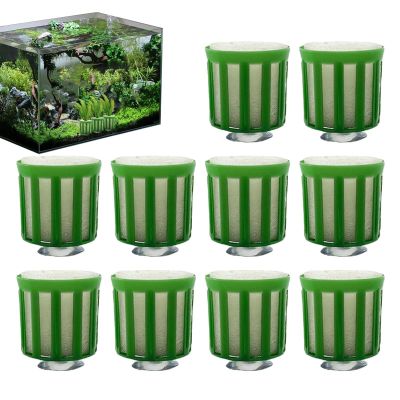 Aquatic Plant Holder 10 Pack - Mounting Cups