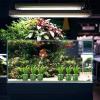 Aquatic Plant Holder 10 Pack - Mounting Cups view 2