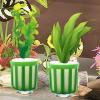 Aquatic Plant Holder 10 Pack - Mounting Cups view 3