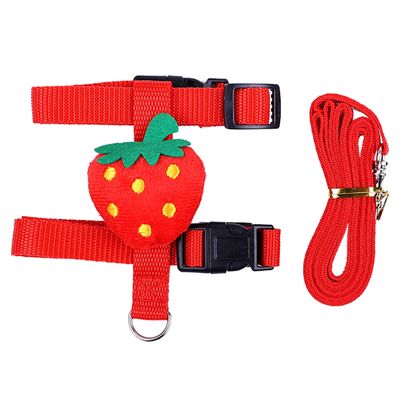 MISUVRSE Rabbit Harness and Leash Set