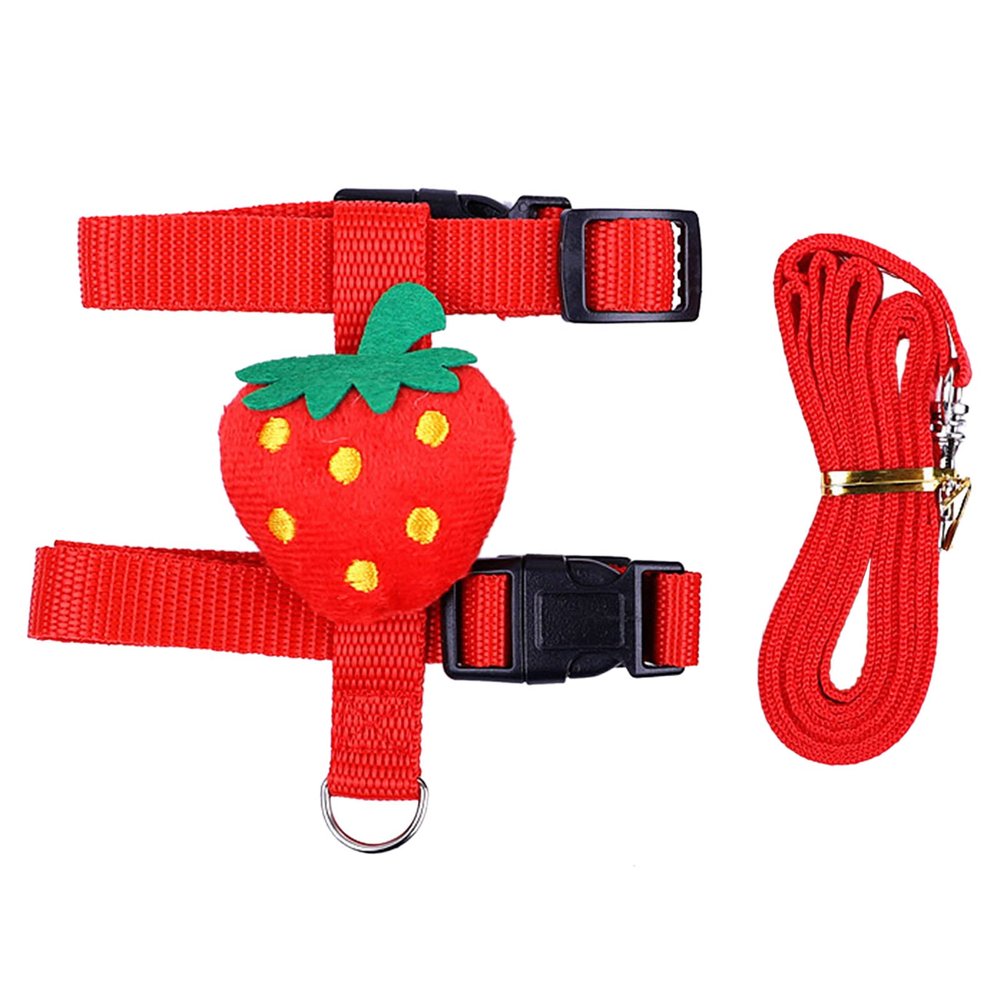 MISUVRSE Rabbit Harness and Leash Set