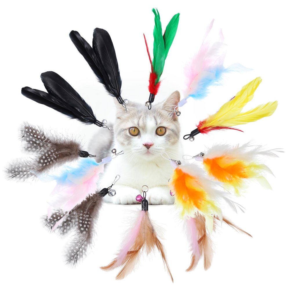 12 Pack Cat Toy Feathers with Bell