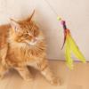 12 Pack Cat Toy Feathers with Bell view 3