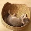 Woven Cat Bed Basket with Pillow and Cushion view 3