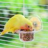 Budgie Food Bowl | Removable Bird Feeder | Transparent Acrylic Dispenser for Birdcage view 2