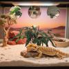Reptile Terrarium Plants and Snake Habitat Decor view 2
