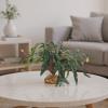 Reptile Terrarium Plants and Snake Habitat Decor view 3
