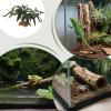 Reptile Terrarium Plants and Snake Habitat Decor view 4