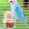 Budgerigar Acrylic Bird Feeder Bowl Set, Transparent Food and Water Dispenser view 2