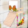 Bird Climbing Ladder, Multifunctional Perch and Chew Toy view 3
