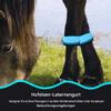 Quorvex Leg Straps for Highly Visible Animal Wraps view 2