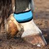 Quorvex Leg Straps for Highly Visible Animal Wraps view 3