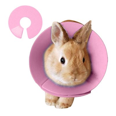 Small-Pet Recovery Cone Collar for Bite, Lick, and Scratch Protection