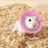 Small-Pet Recovery Cone Collar for Bite, Lick, and Scratch Protection view 3