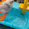 Bird Shower Automatic Pet Feeder view 4