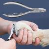 Generic Durable Stainless Steel Dog Nail Clippers view 3