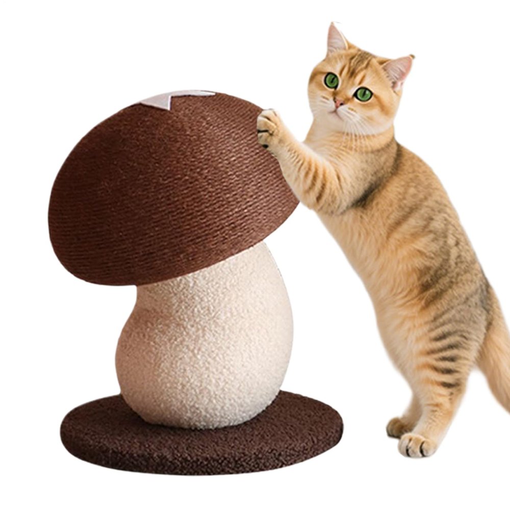 Cat Scratching Post, Interactive Cat Toy