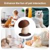 Cat Scratching Post, Interactive Cat Toy view 4