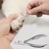 Generic Durable Stainless Steel Dog Nail Clippers view 3