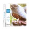 1PC Dog Tooth Cleaning Gel Pen, 3ml view 1