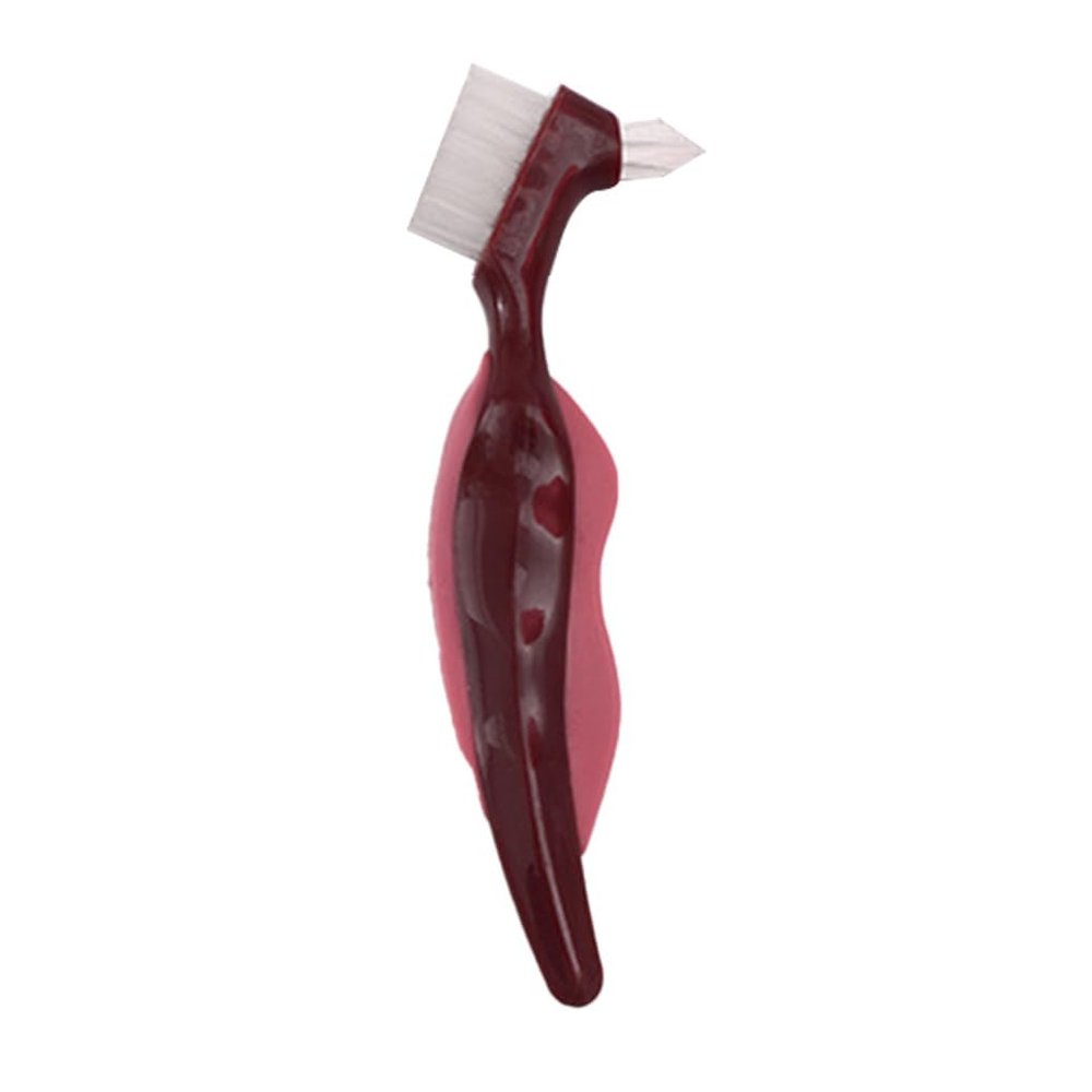 Zanthicia Denture Cleaning Brush